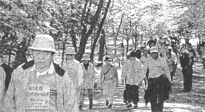 �V���s�V�e�B�[�E�H�[�L���O