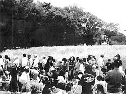 ��P��؂̉Ԃ܂�