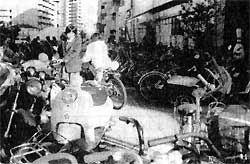 �V���w�샍�L��