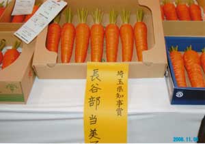 �V���s�_�Y�����n��