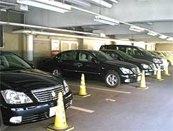 �s�̌��p��