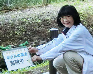 �z�^���̕��� ������