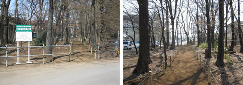 ��Ύ~�S���ڌb�R�ʂ�e���̐X