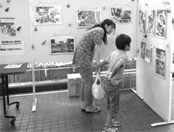 �픚�ʐ^�Ɍ�����e�q�A��