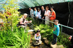 �z�^�����񌳋C�Ɉ���Ăˁ@�z�^�������