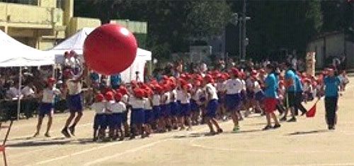 ���w�Z�ŏH�̉^����@��ʑ���Ŋ撣�鎙������