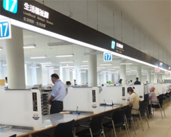 �V���ɂ̎��@���C