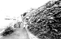 �댯�����E�H�b�`���O