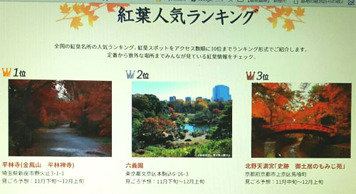 ���ю��@�g�t�l�C�����L���O�ő��ʂ�