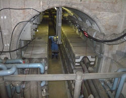 �V�������̎ʐ^�����d�p���[�O���b�h�Ђ���