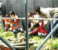 �����z�^�����D��ɂ��c��������