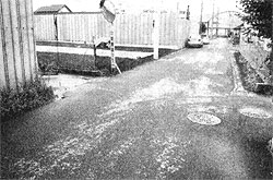 ���̂��N���������_�i��a�c�S���ځj