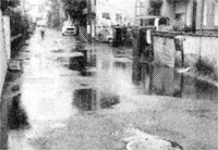 �J�Ő��Z���̎����\�r�c�T����