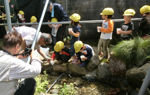 ���ƃz�^����������܂����u�����z�^�����D��v