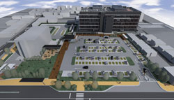 �V���Ɍ���