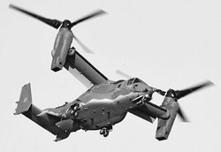 ���c��n���Ő����s����b�u�Q�Q�I�X�v���C���Q���i�H�����a�ψ���񋟁j