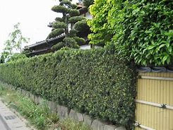 �u���b�N������߂Đ����_��