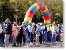 �u�₩�ɃV�e�B�[�E�H�[�L���O