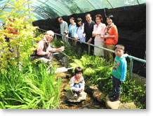 �z�^�����񌳋C�Ɉ���Ă�