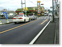 �����̘H�ʕܑ������C